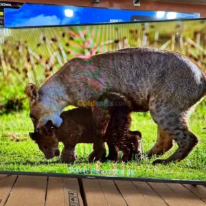 tv koscom 43p smart